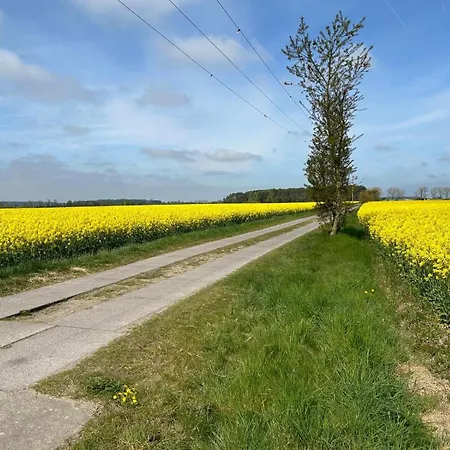 Graf Ankerplatz Apartment