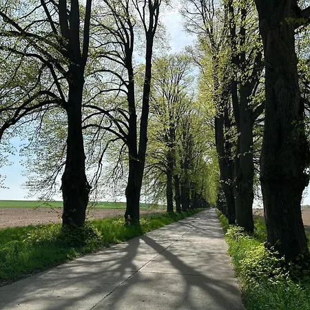 Graf Ankerplatz *