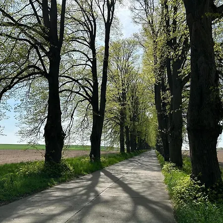 Graf Ankerplatz *