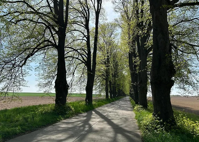 Graf Ankerplatz *
